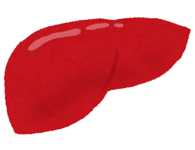 胆道